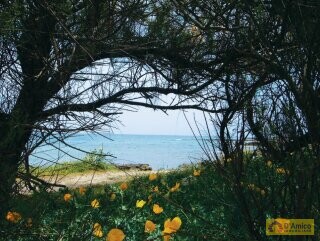 foto immobile Splendida Masseria da Ristrutturare con Corte e Appartamenti n. 21