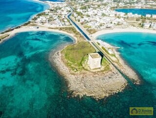 foto immobile Splendida Masseria da Ristrutturare con Corte e Appartamenti n. 5