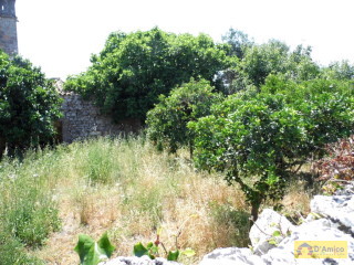 foto immobile Antica Masseria del 1670 in ottime condizioni, a Salve n. 3