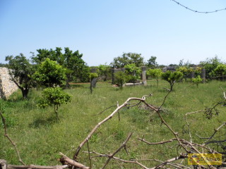 foto immobile Antica Masseria del 1670 in ottime condizioni, a Salve n. 6