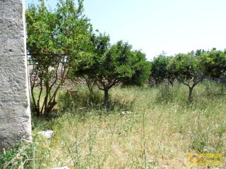 foto immobile Antica Masseria del 1670 in ottime condizioni, a Salve n. 18