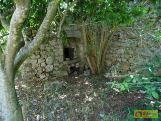foto immobile Antica Masseria del 1670 in ottime condizioni, a Salve n. 19