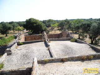 foto immobile Antica Masseria del 1670 in ottime condizioni, a Salve n. 26