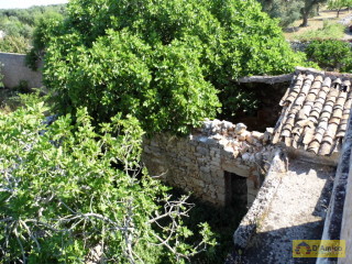 foto immobile Antica Masseria del 1670 in ottime condizioni, a Salve n. 32