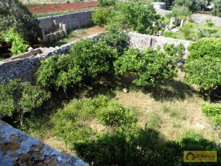 foto immobile Antica Masseria del 1670 in ottime condizioni, a Salve n. 35
