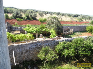 foto immobile Antica Masseria del 1670 in ottime condizioni, a Salve n. 38