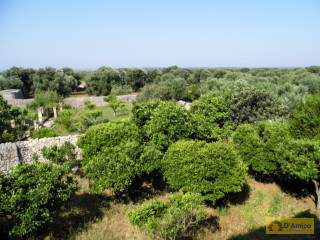 foto immobile Antica Masseria del 1670 in ottime condizioni, a Salve n. 40