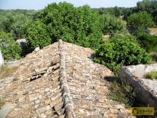 foto immobile Antica Masseria del 1670 in ottime condizioni, a Salve n. 52