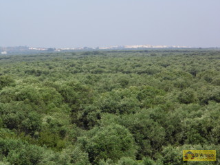 foto immobile Antica Masseria del 1670 in ottime condizioni, a Salve n. 55