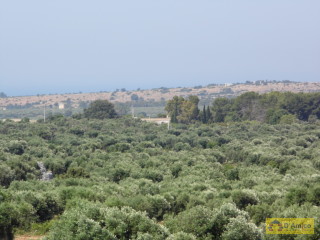 foto immobile Antica Masseria del 1670 in ottime condizioni, a Salve n. 57