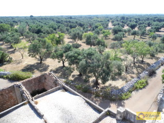 foto immobile Antica Masseria del 1670 in ottime condizioni, a Salve n. 64