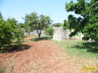 foto immobile Antica Masseria del 1670 in ottime condizioni, a Salve n. 71