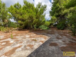 foto immobile 2 Ville in pietra a 500 metri dal mare di Pescoluse, in Salento n. 34