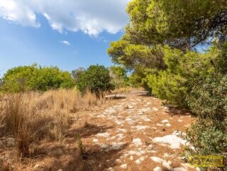 foto immobile 2 Ville in pietra a 500 metri dal mare di Pescoluse, in Salento n. 46