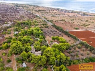 foto immobile 2 Ville in pietra a 500 metri dal mare di Pescoluse, in Salento n. 48