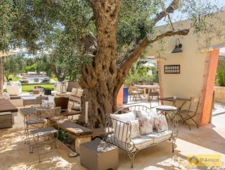 foto immobile Masseria di Charme con Piscina e 10.000 m2 di Giardino n. 23