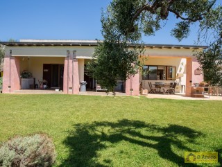 foto immobile Masseria di Charme con Piscina e 10.000 m2 di Giardino n. 4