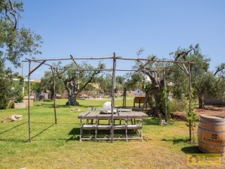 foto immobile Masseria di Charme con Piscina e 10.000 m2 di Giardino n. 17