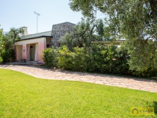 foto immobile Masseria di Charme con Piscina e 10.000 m2 di Giardino n. 6