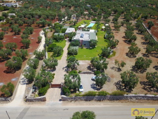 foto immobile Masseria di Charme con Piscina e 10.000 m2 di Giardino n. 2