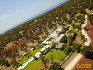 foto immobile Masseria di Charme con Piscina e 10.000 m2 di Giardino n. 3