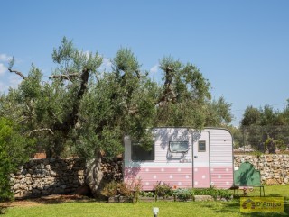 foto immobile Masseria di Charme con Piscina e 10.000 m2 di Giardino n. 10