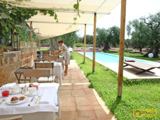 foto immobile Masseria di Charme con Piscina e 10.000 m2 di Giardino n. 15