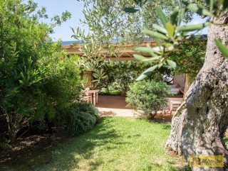 foto immobile Masseria di Charme con Piscina e 10.000 m2 di Giardino n. 8