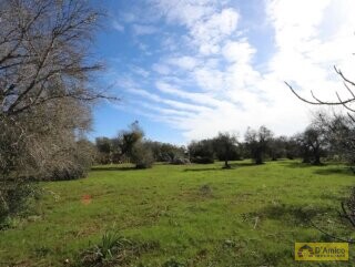 foto immobile Progetto approvato per Villa vista mare a 4 km dalla spiaggia n. 19