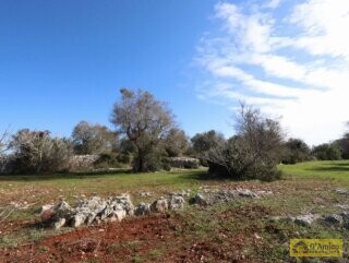 foto immobile Progetto approvato per Villa vista mare a 4 km dalla spiaggia n. 21