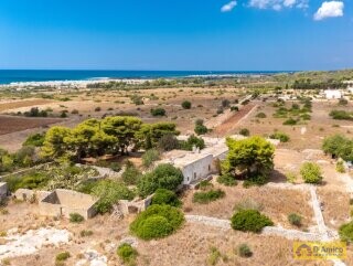 foto immobile Masseria del 1800 vista mare, a Pescoluse n. 8