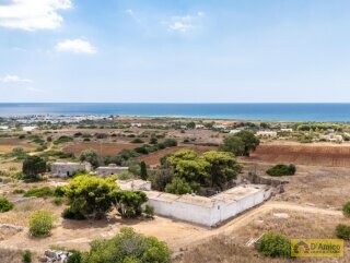 foto immobile Masseria del 1800 vista mare, a Pescoluse n. 2