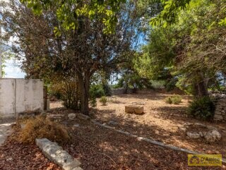 foto immobile Masseria del 1800 vista mare, a Pescoluse n. 37