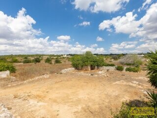 foto immobile Masseria del 1800 vista mare, a Pescoluse n. 40