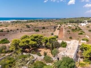 foto immobile Masseria del 1800 vista mare, a Pescoluse n. 41