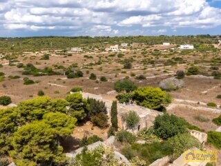 foto immobile Masseria del 1800 vista mare, a Pescoluse n. 7