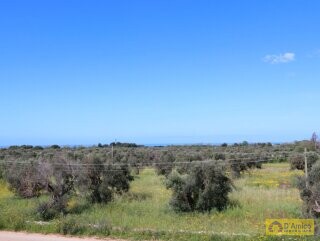 foto immobile Graziosa Casa Indipendente Vista Mare, a 2.5 km dalle spiagge di Torre Vado n. 22