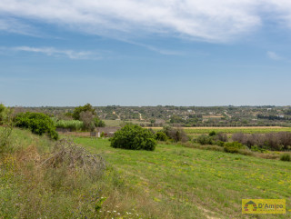 foto immobile Villa a rustico e Piscina vista mare, a Pescoluse n. 8