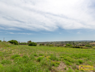 foto immobile Villa a rustico e Piscina vista mare, a Pescoluse n. 12