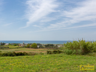 foto immobile Villa a rustico e Piscina vista mare, a Pescoluse n. 14
