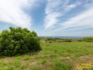foto immobile Villa a rustico e Piscina vista mare, a Pescoluse n. 15
