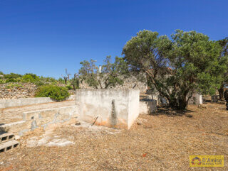 foto immobile Villa di LUSSO Incantevole Vista Mare da ristrutturare, con Piscina n. 8
