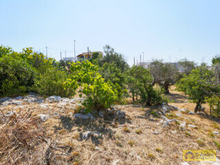 foto immobile 2 Ville vista mare a 400 metri dalla spiaggia di Pescoluse n. 10