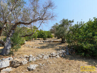 foto immobile 2 Ville vista mare a 400 metri dalla spiaggia di Pescoluse n. 16