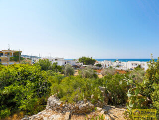 foto immobile 2 Ville vista mare a 400 metri dalla spiaggia di Pescoluse n. 22