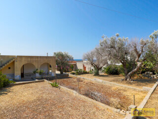 foto immobile 2 Ville vista mare a 400 metri dalla spiaggia di Pescoluse n. 23