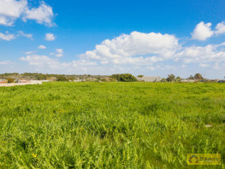 foto immobile Terreno edificabile Villa con Piscina in Salento vicino al mare n. 46