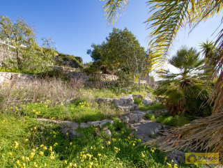 foto immobile Villa vista mare in costruzione, a 400 metri dalla spiaggia n. 20