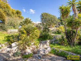 foto immobile Villa vista mare in costruzione, a 400 metri dalla spiaggia n. 22