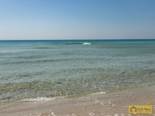 foto immobile Terreno fronte spiaggia per Stabilimento Balneare a Pescoluse n. 5